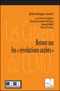 Retour sur les révolutions arabes