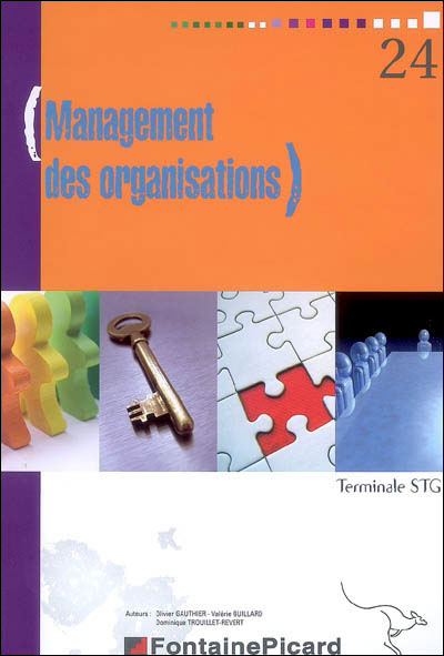 Management Des Organisations Terminale Stg