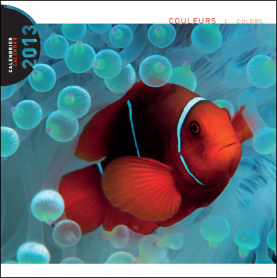 Calendrier 2013 30x30 Pictura Couleurs