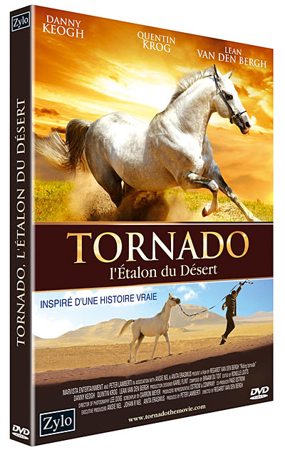 Tornado, l'étalon du désert