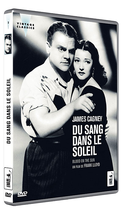 Du sang dans le soleil