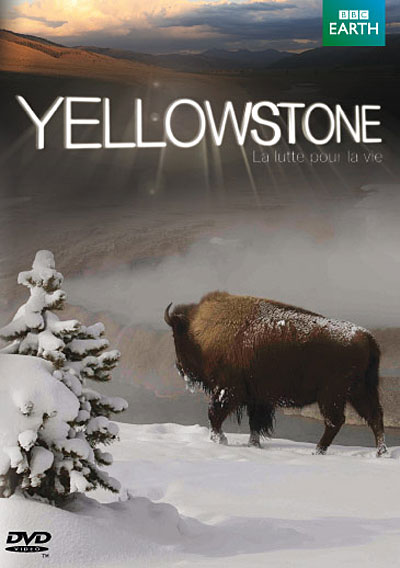 Yellowstone