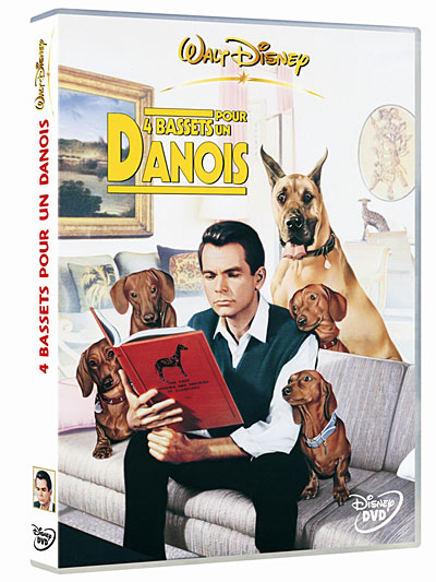 4 bassets pour un danois