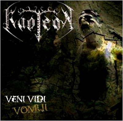 Veni vidi vomui