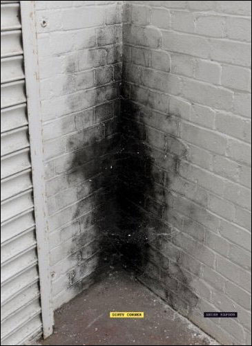 Anish Kapoor : Dirty Corner