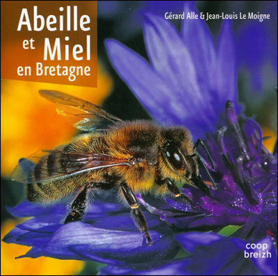 Abeille et miel en Bretagne