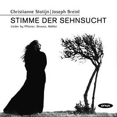 Stimme der sehnsucht