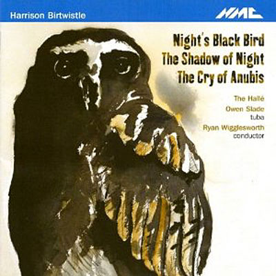 Nights black bird