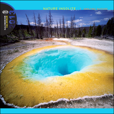 Calendrier 2013 30x30 Pictura nature insolite
