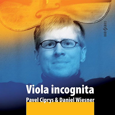 Viola incognita