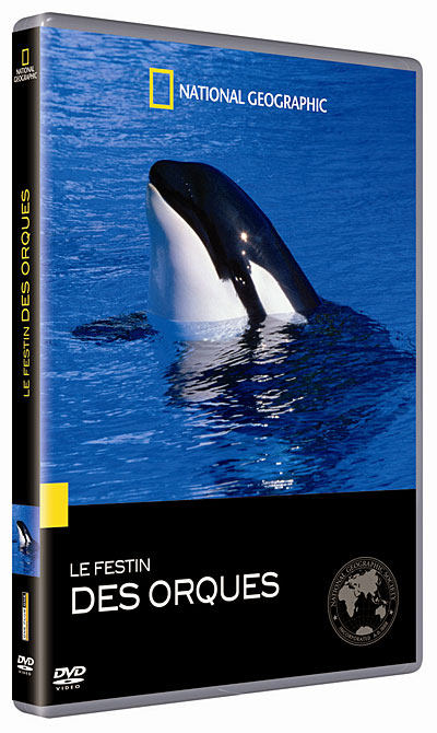Festin des orques