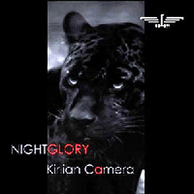 Nightglory