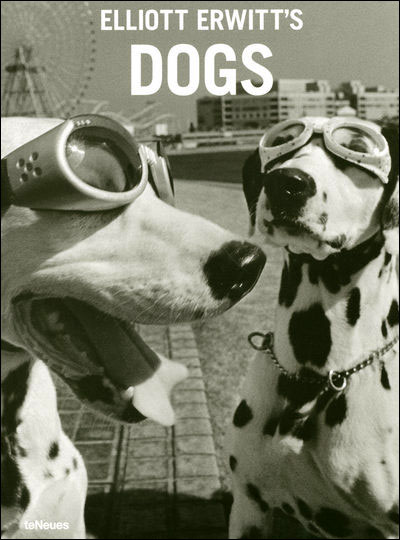 Dogs