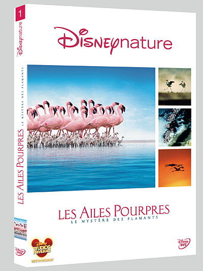 Les Ailes pourpres