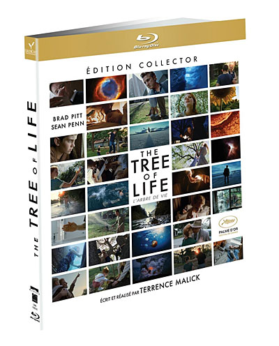 jessica-chastain-meilleurs-roles-fnac-the-tree-of-life-terrence-malick-brad-pitt