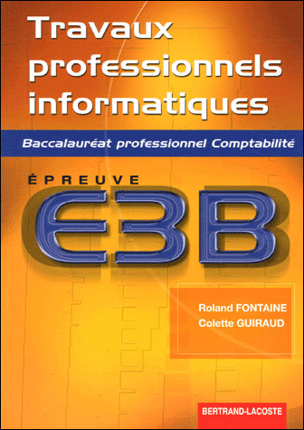 Travaux Prof. Informatiques - E3b Bac Pro Comptabilite