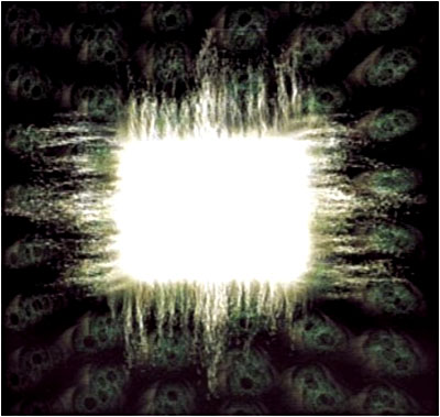 Aenima