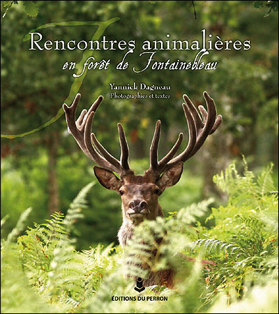 rencontres en foret