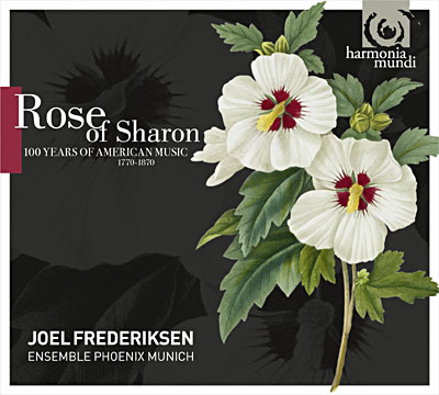 Rose of Sharon