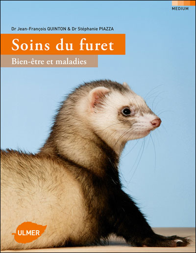 Soins du furet