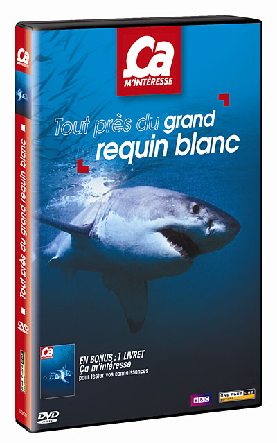 Volume 14 - Tout près du grand requin blanc