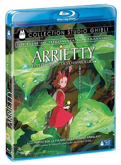 Arrietty-Le-petit-monde-des-chapardeurs-