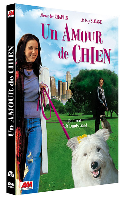 Un amour de chien