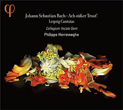 Leipzig cantatas