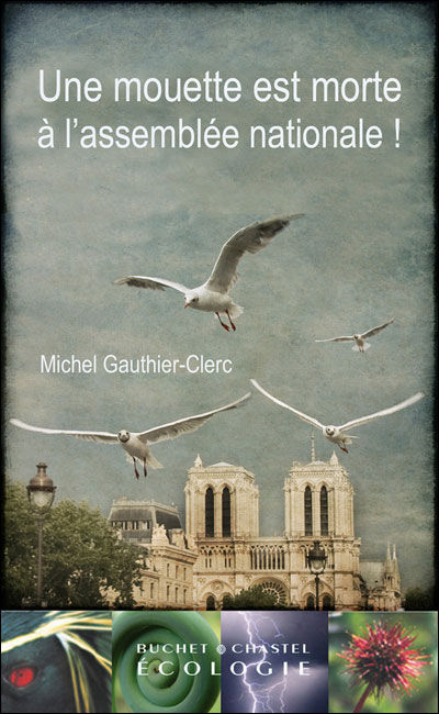 Une mouette est morte à l'Assemblée Nationale