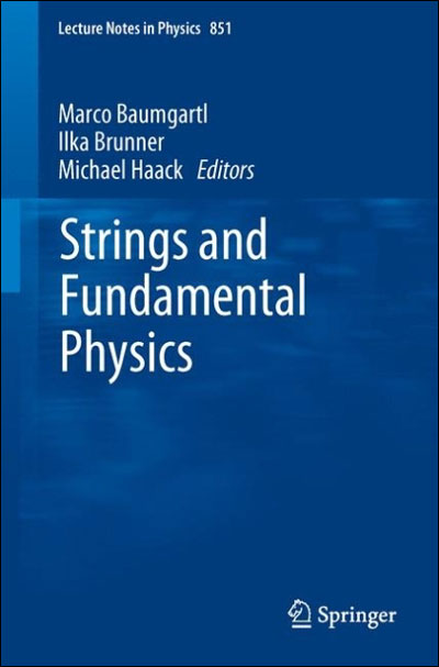 Strings and fundamental physics