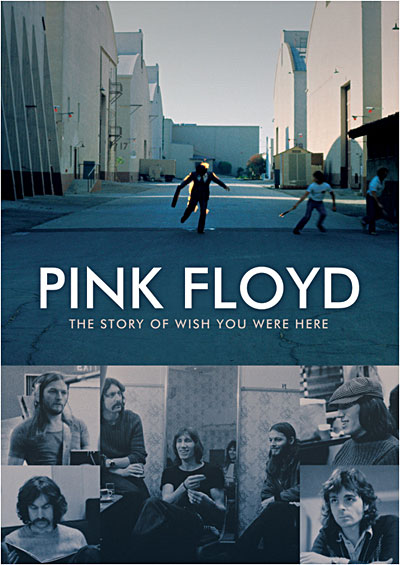 The story of Wish you were here