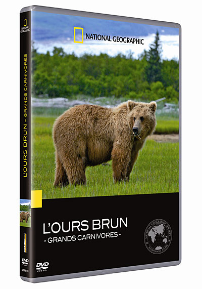 L'Ours brun : Les grands carnivores