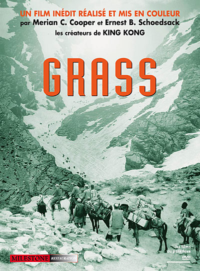 Grass