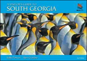Visitor's guide to south georgia