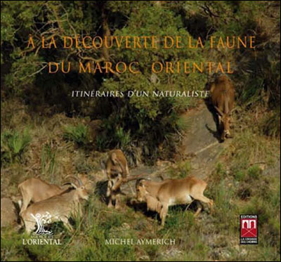 A la découverte de la faune du Maroc oriental