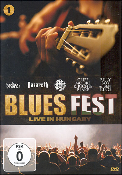 Blues fest live in Hungary