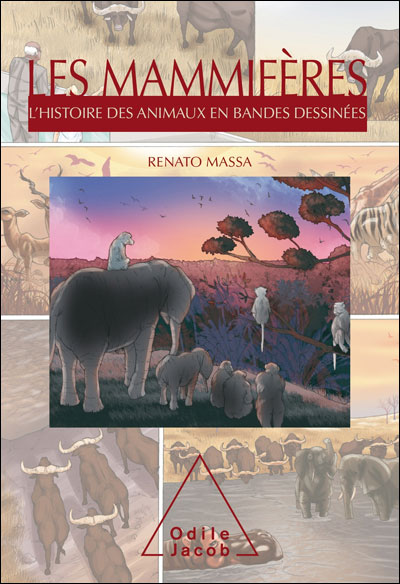 Les mammifères : l'histoire des animaux