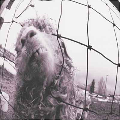 Vs - Expanded Edition - 3 bonus tracks - Legacy Edition