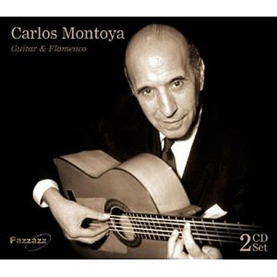 Guitar and flamenco