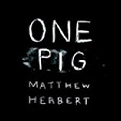 One pig