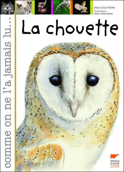 La chouette - broché - Jean-Louis Vallée, Jean Chevalier - Achat Livre