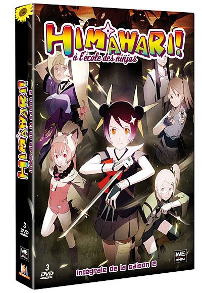 Coffret intégral de la Saison 2
