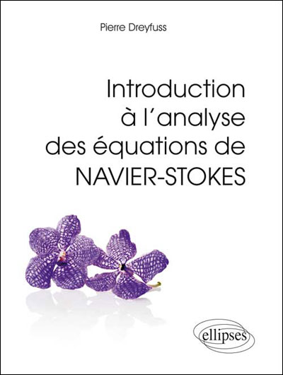 Introduction à l'analyse des équations de Navier-Stokes