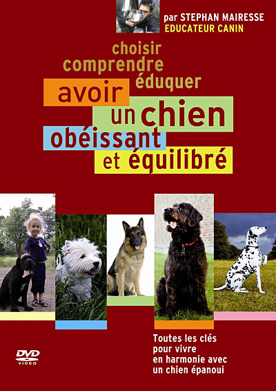 Avoir un chien équilibré et obéissant