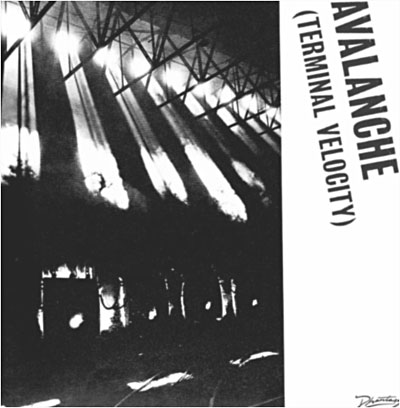 Avalanche - Terminal velocity