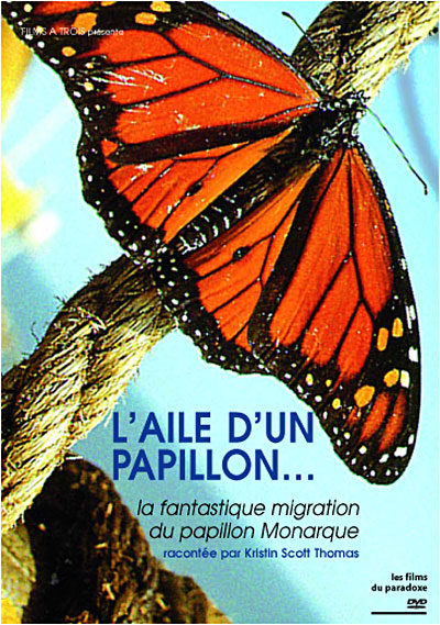 L'Aile d'un papillon...