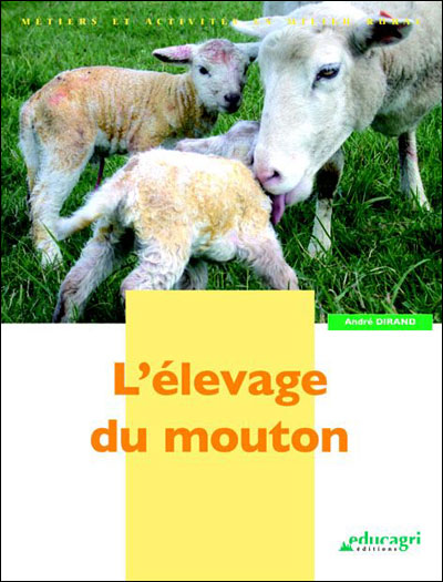 Elevage du mouton (l')