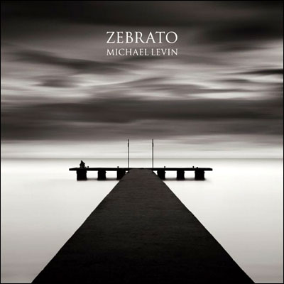 Michael Levin Zebrato