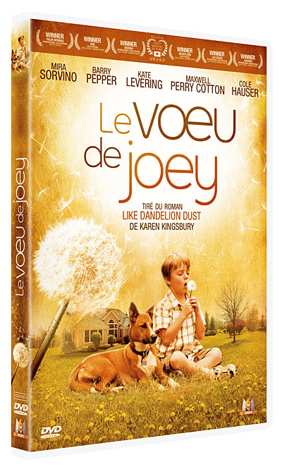 Le Voeu de Joey