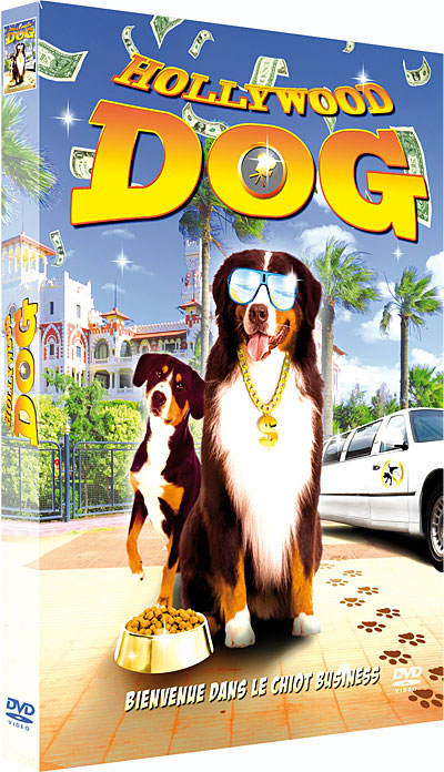 Hollywood Dog